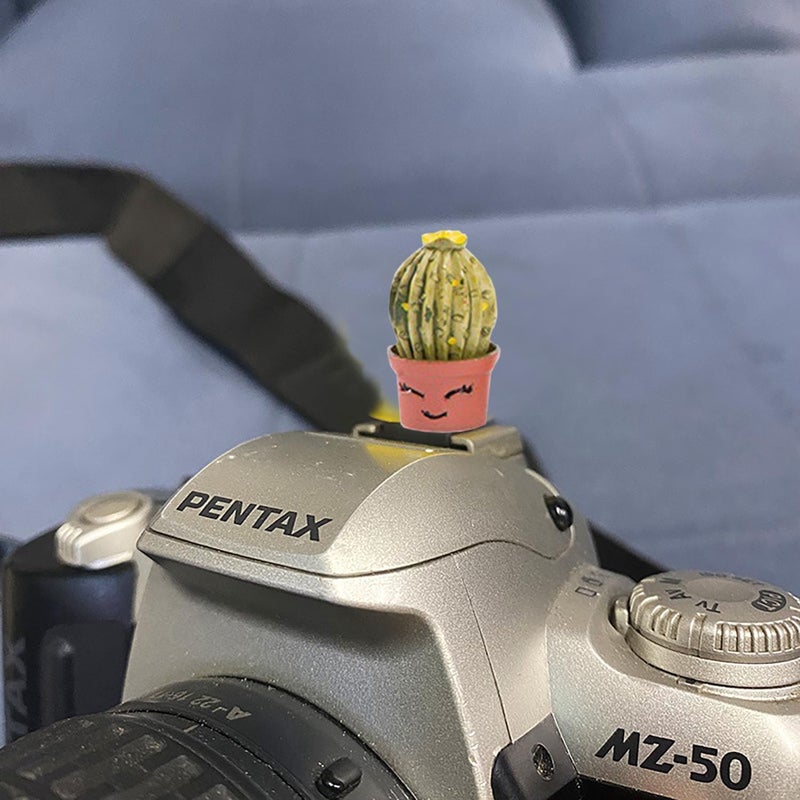 MENGSOOD Camera Hot Shoe Cover, Cartoon Plants Cactus Hot Shoe Cap, Hot Shoe Protector Compatible with Sony Fujifilm Fuji Canon Nikon Pentax Leical Panasonic (2pcs Love) - Image 4
